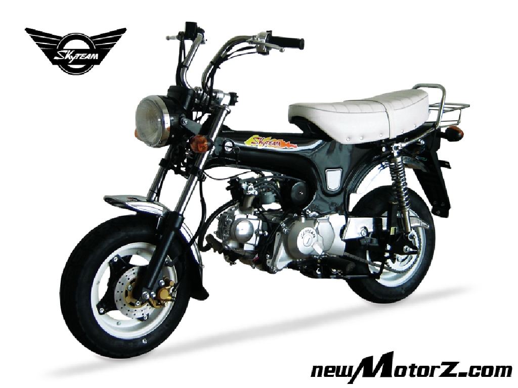 Moto SKY TEAM Dax 125  occasion